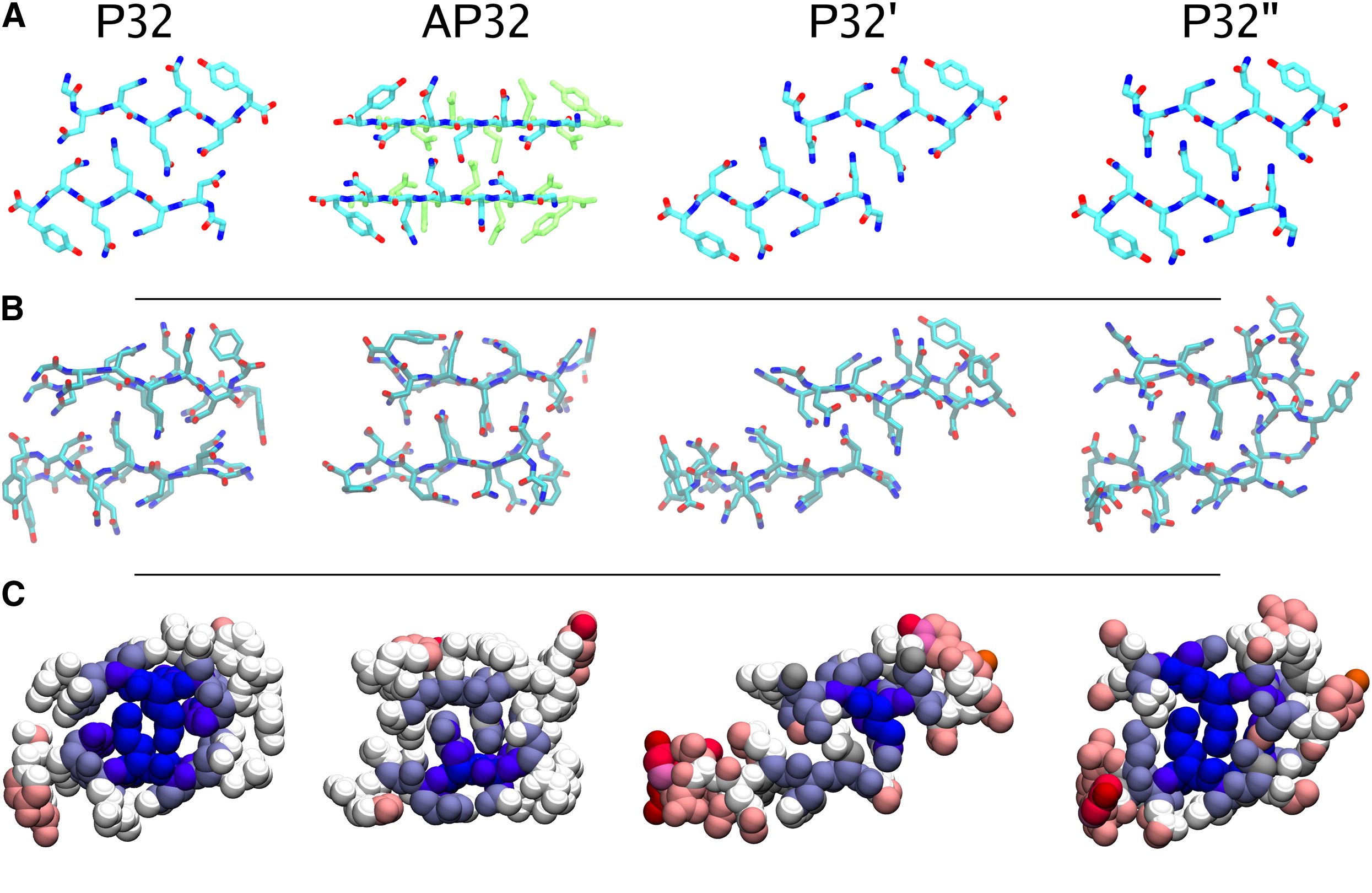 polymorphic packings of the gnnqqny peptide