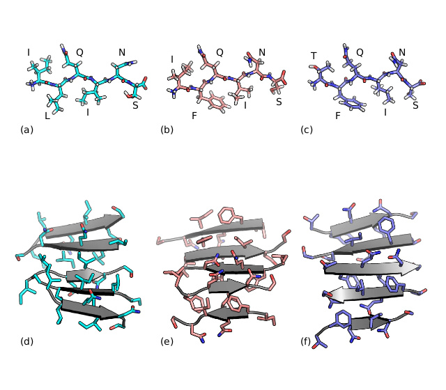 accelerated discovery of amyloid structures